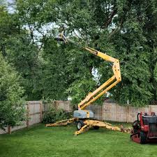 Best Aeration Services  in Artesia, NM