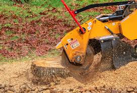 Best Tree and Shrub Care  in Artesia, NM