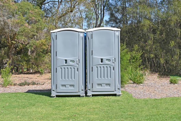 Best Lawn Pest Prevention  in Artesia, NM